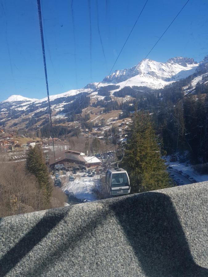 Chalet Grueneggli Adelboden Eksteriør billede