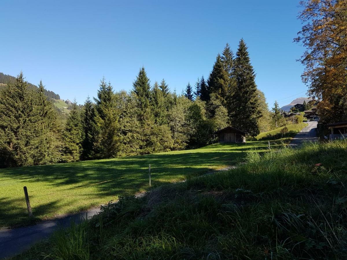 Chalet Grueneggli Adelboden Eksteriør billede
